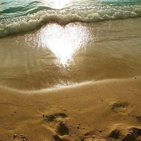 Cathedral Apartmán *