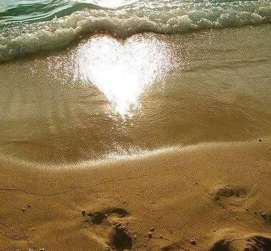 Cathedral Apartment *